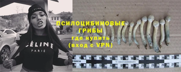 jwh Гусь-Хрустальный