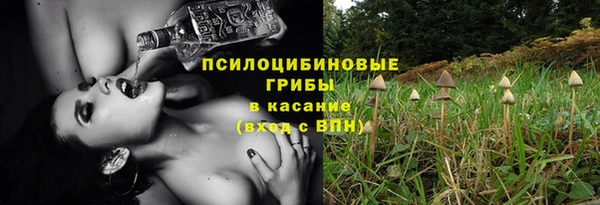 бутират Гусиноозёрск