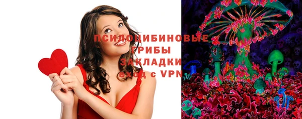 jwh Гусь-Хрустальный